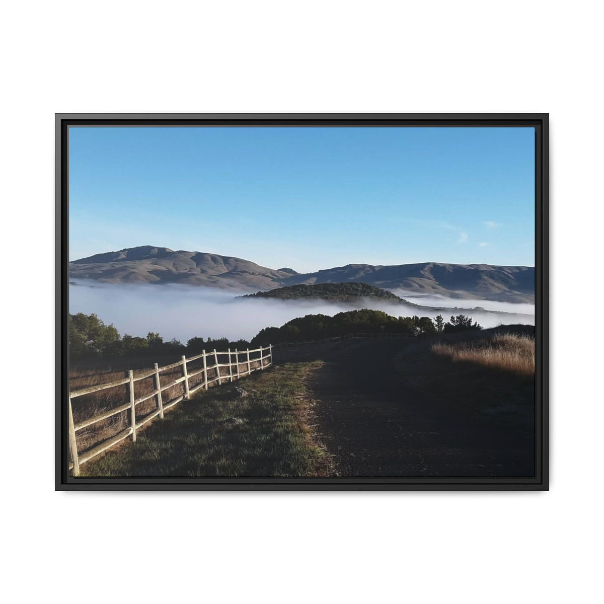 Coastal Fog Path — Framed Matte Canvas Print