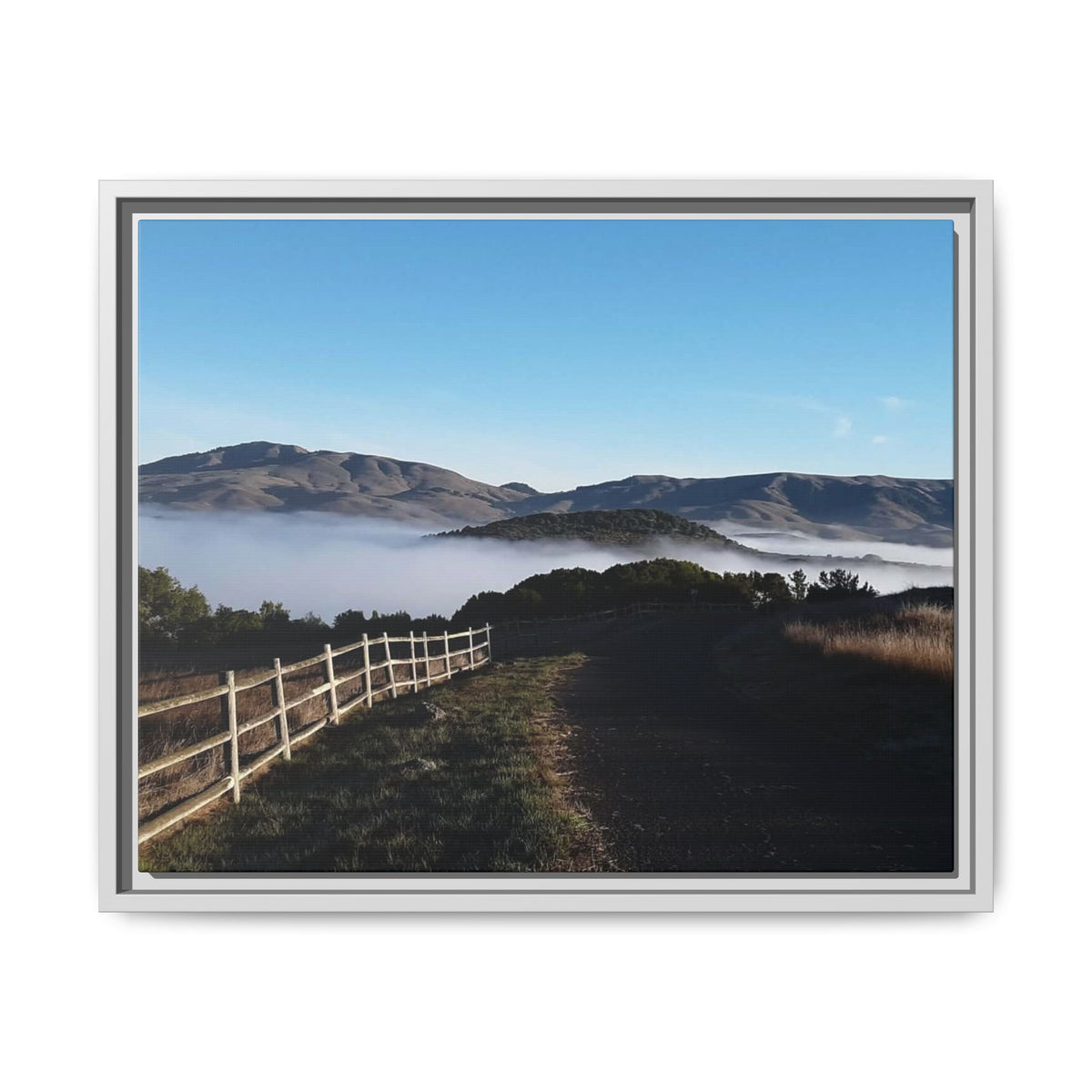 Coastal Fog Path — Framed Matte Canvas Print